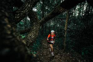 BIB: 
                            <button type="button" onclick="openModal(25683165)" class="btn btn-primary btn-sm float-right btn-popup" data-toggle="modal" data-target=".modal-high-quality">
                        <i class="fas fa-shopping-cart"></i> Add to Cart
                    </button>
                                            <button type="button" onclick="isThisMe(25683165, true)" class="btn btn-success btn-sm float-right btn-popup btn-isme hidden" data-toggle="tooltip" data-placement="bottom" title="นี่คือรูปของคุณใช่ไหม คลิกที่นี่เพื่อเอาเข้าอัลบั้ม">
                        <i class="fas fa-plus"></i> Add to album
                    </button>
                    <button type="button" onclick="isThisMe(25683165, false)" class="btn btn-warning btn-sm float-right btn-popup btn-isnotme hidden">
                        <i class="fas fa-ban"></i> Remove from album
                    </button>